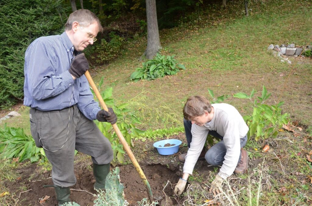 Chiropractic Care for Gardeners: